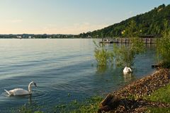 Idylle am Bodensee