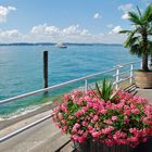 Idylle am Bodensee