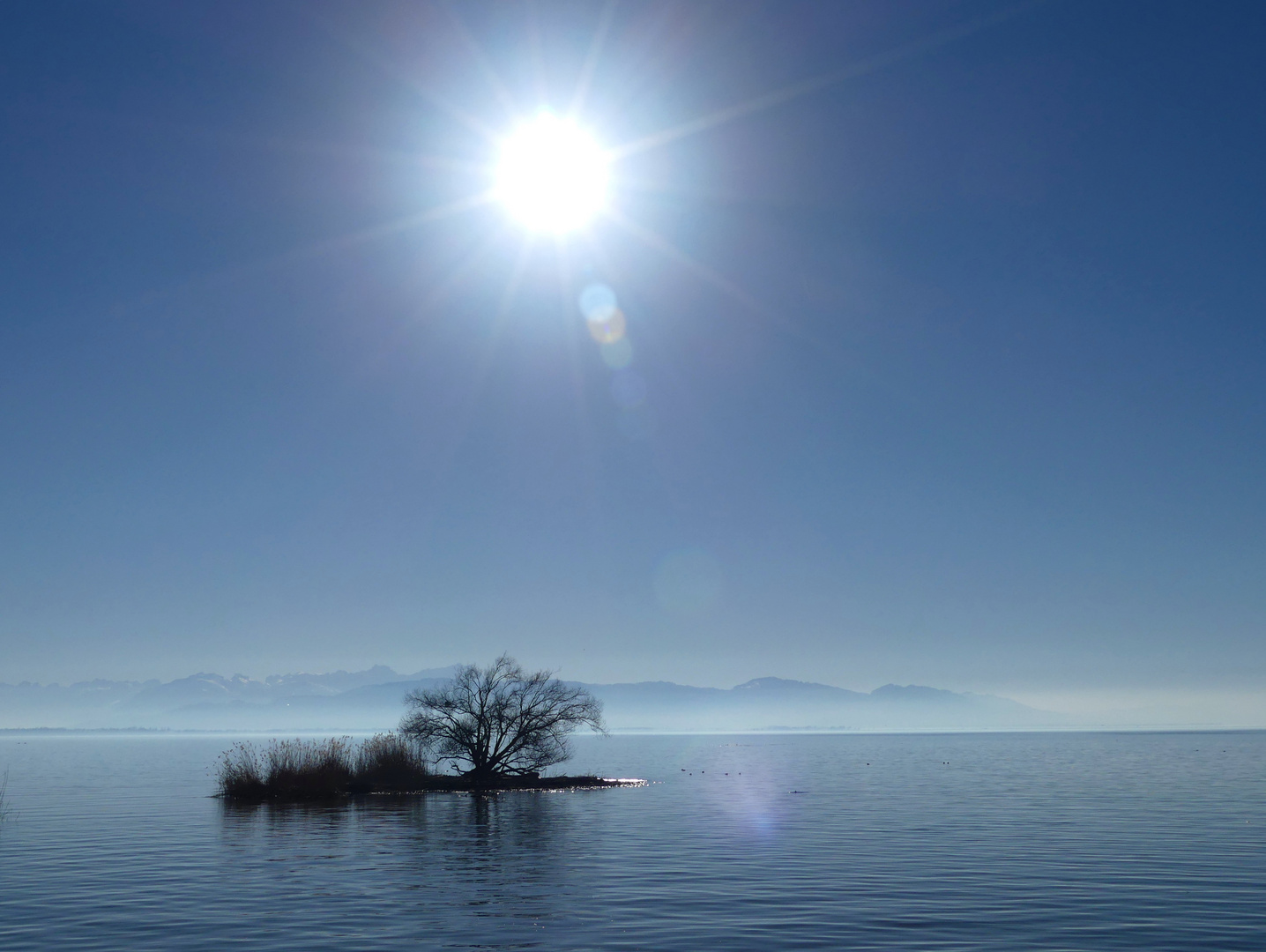 Idylle am Bodensee