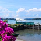 Idylle am Chiemsee