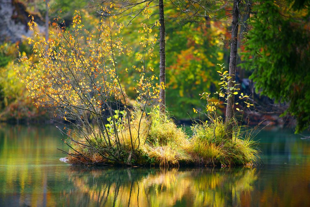 Idylle am Crestasee