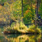 Idylle am Crestasee