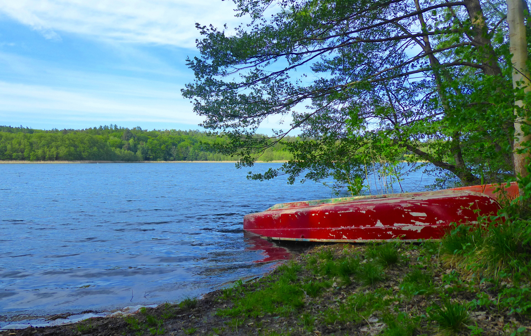 Idylle am Dagowsee