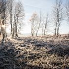 Idylle am ehemaligen "Todesstreifen" 