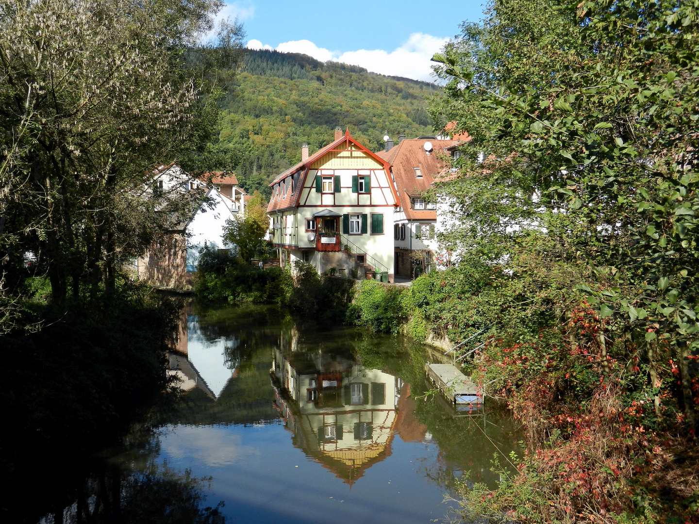 Idylle am Elsenz