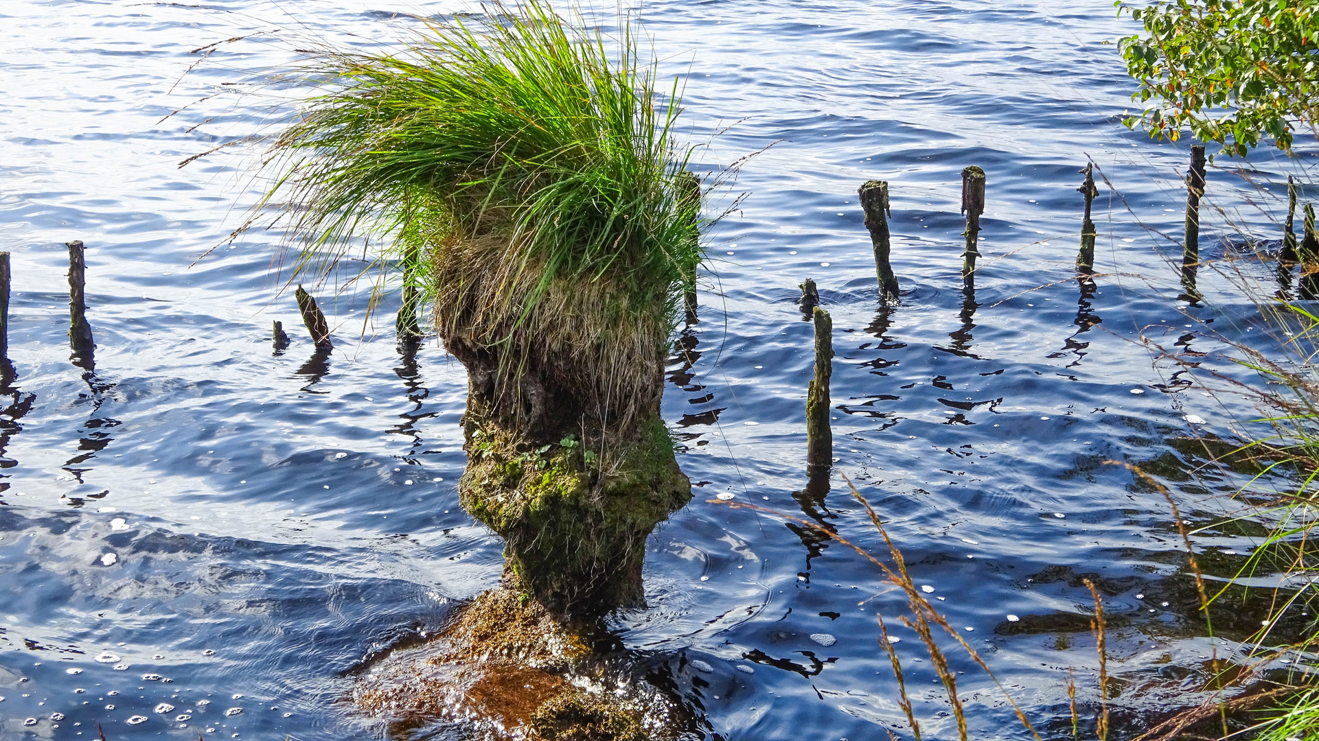 Idylle am Ewigen Meer