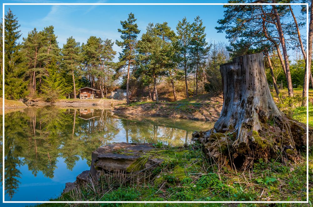 Idylle am Fischweiher bei Zepfenhan