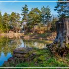 Idylle am Fischweiher bei Zepfenhan