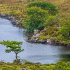 Idylle am Fluss - I