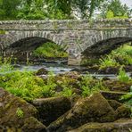 Idylle am Fluss - II