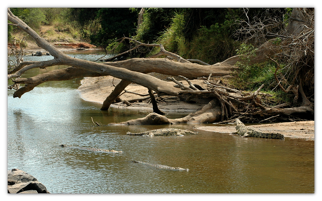 idylle am fluss teil I