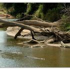 idylle am fluss teil I