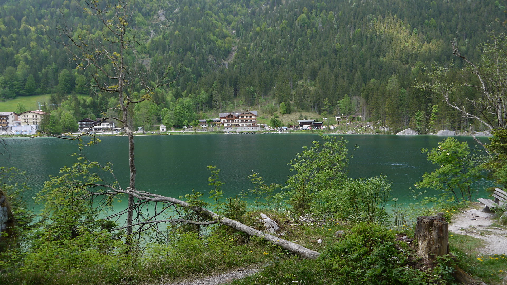 Idylle am Hintersee