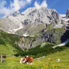 Idylle am Hochkönig...