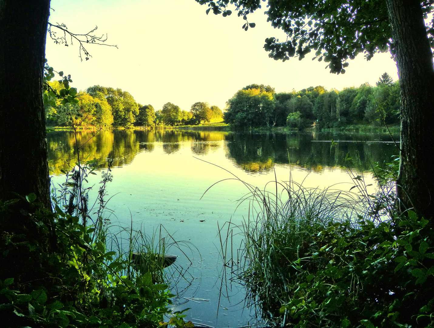 Idylle am Holzmaar bei Gillenfeld