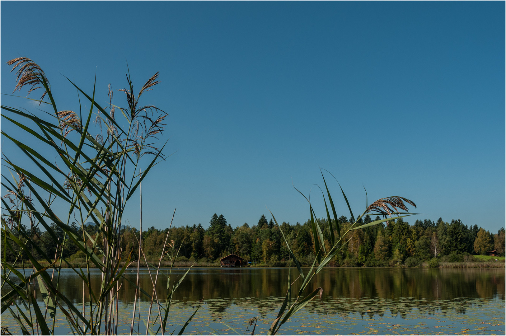 Idylle am Hopfensee