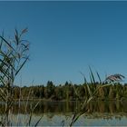 Idylle am Hopfensee