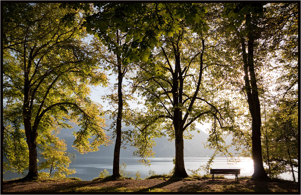 Idylle am Kochelsee