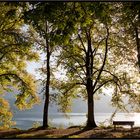 Idylle am Kochelsee