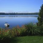 Idylle am Lake Quinault