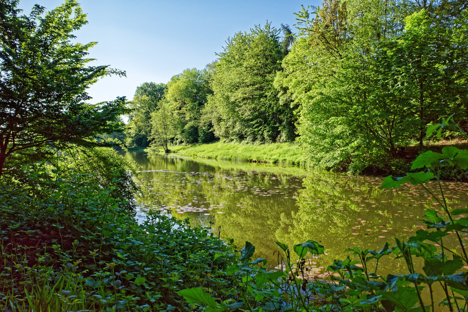 Idylle am Lasbachweiher