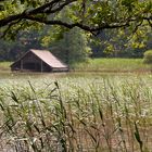 Idylle am Leopoldsteinersee