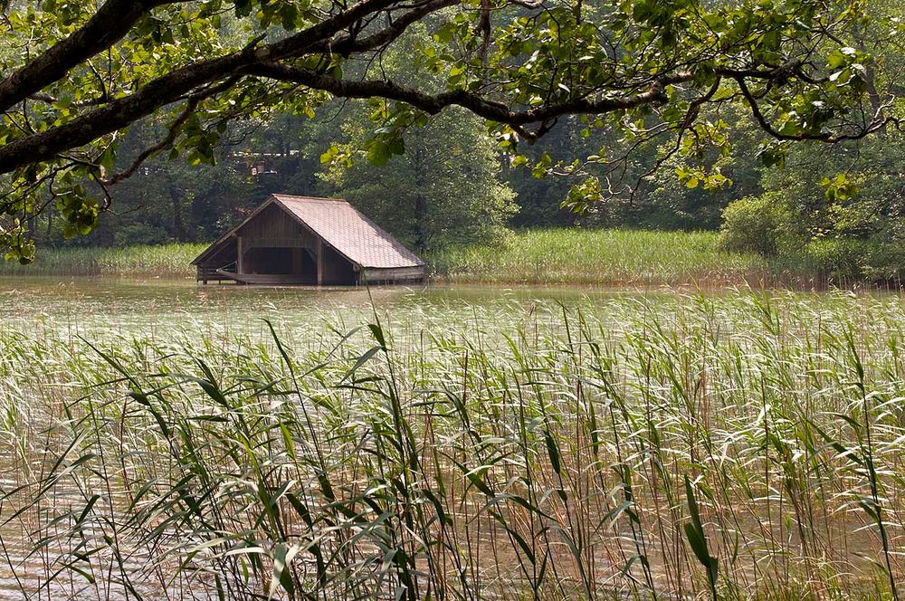 Idylle am Leopoldsteinersee