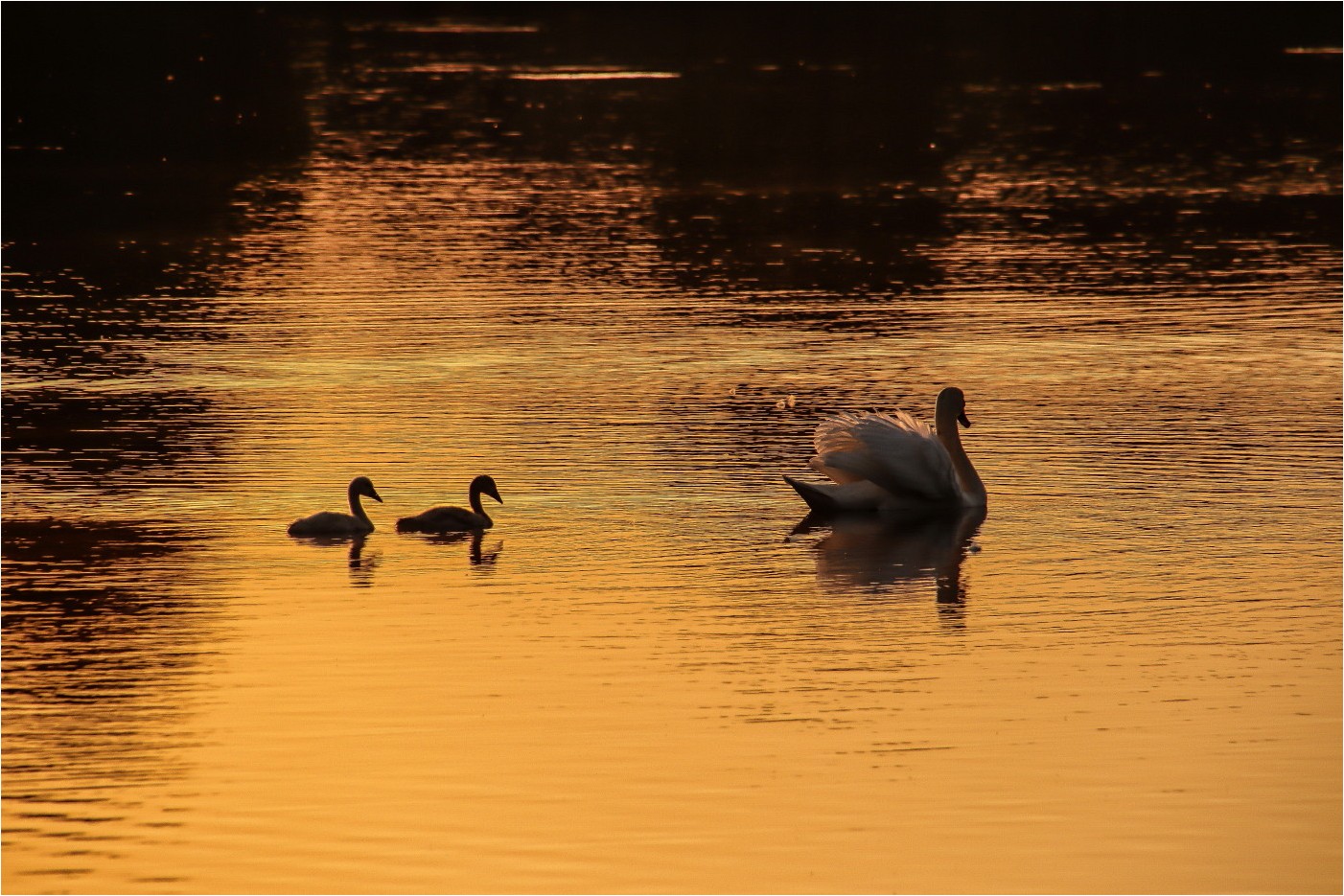 Idylle am Morgen (1)