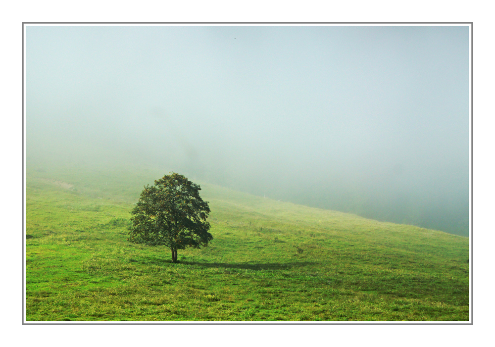 Idylle am Morgen