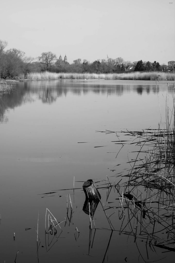 Idylle am Morgen