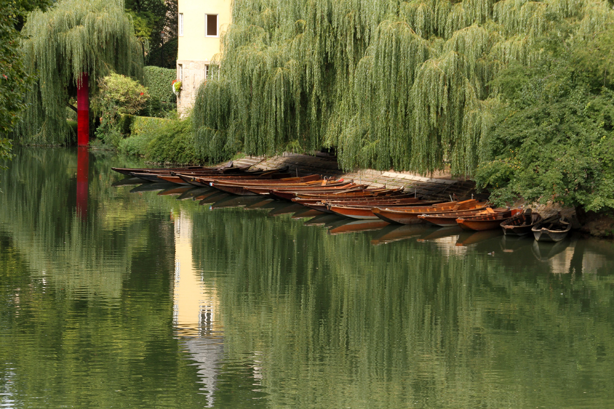 Idylle am Neckar...