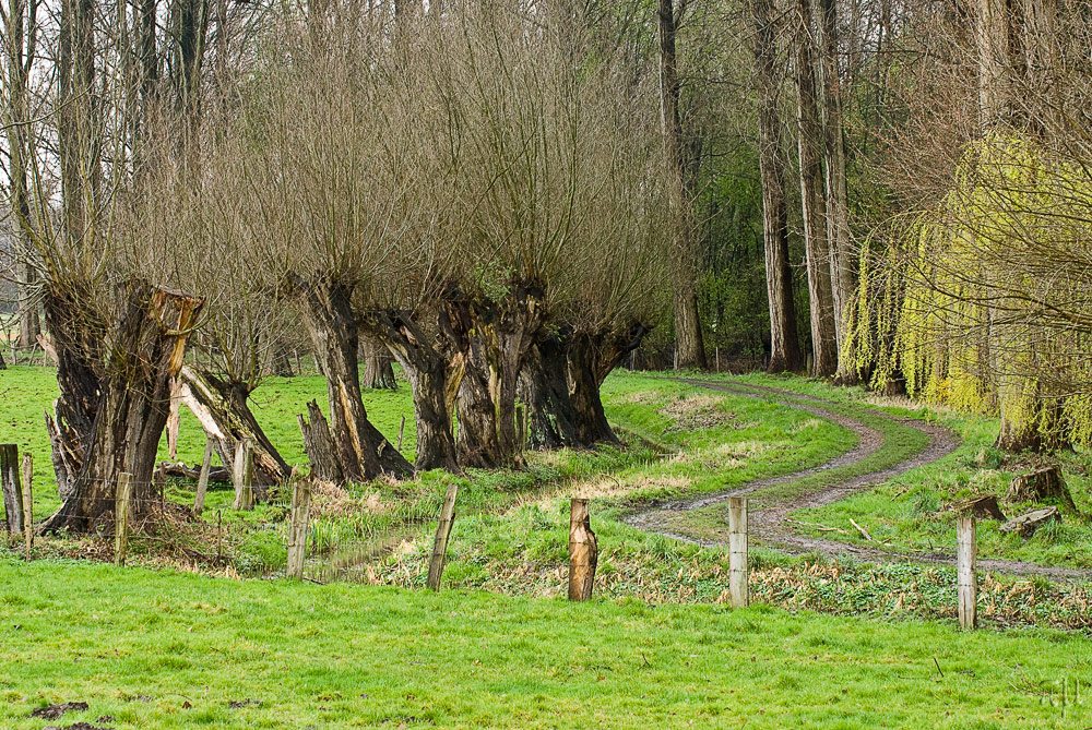 idylle am niederrhein