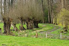 idylle am niederrhein