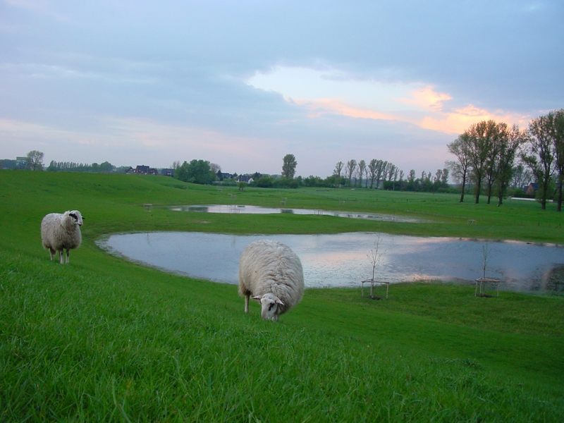 Idylle am Niederrhein