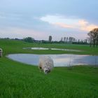 Idylle am Niederrhein