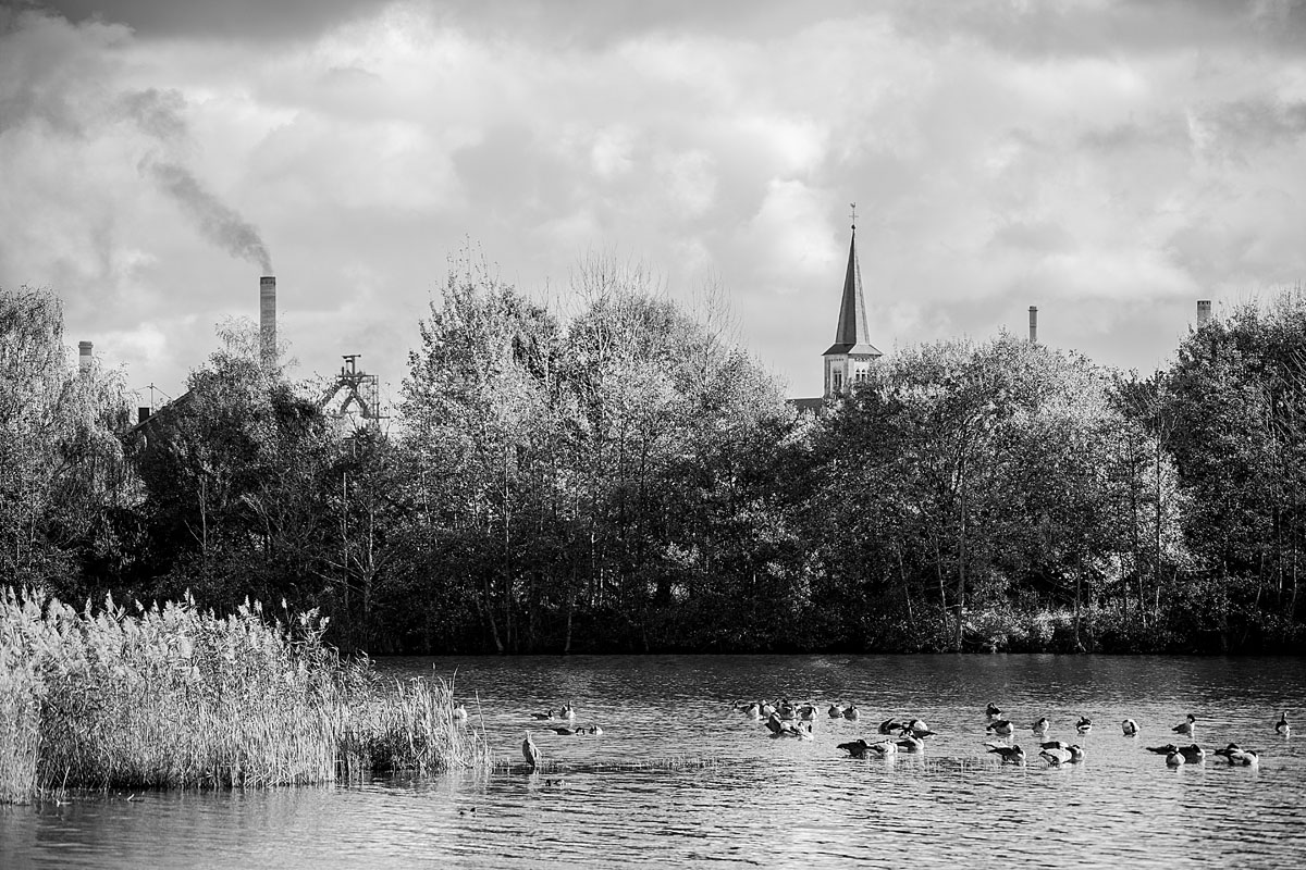 Idylle am Ökosee Dillingen/Saar