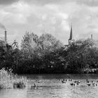 Idylle am Ökosee Dillingen/Saar