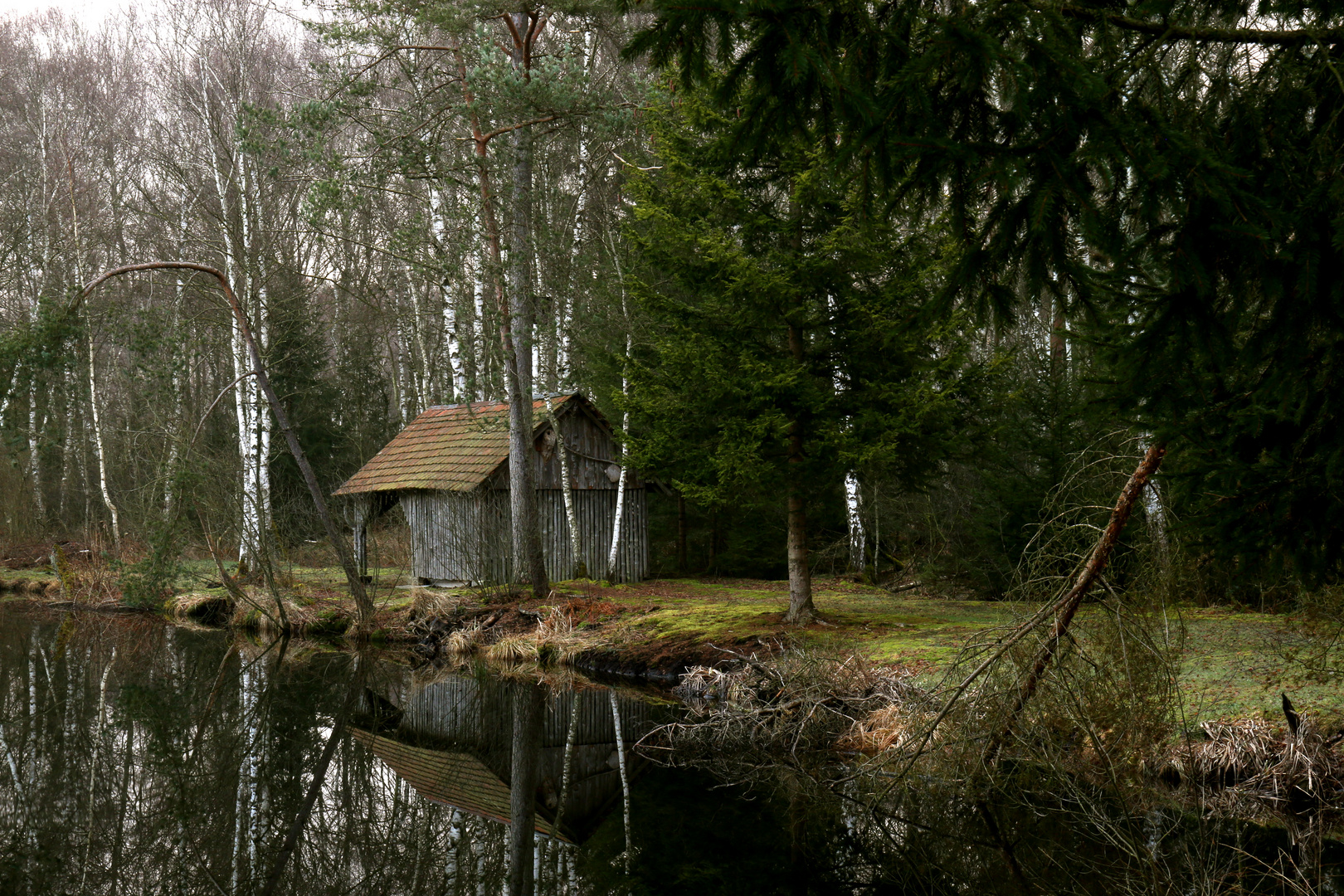 Idylle am Pfrungener Ried in den frühen Morgenstunden