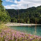 Idylle am Plansee