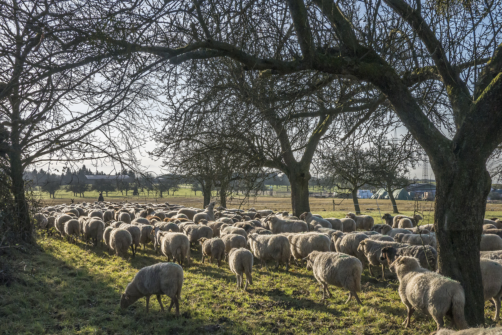 Idylle am Rande der Stadt