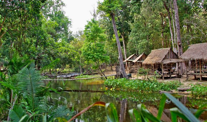 Idylle am Rande des Urwalds