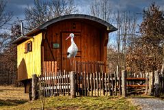 Idylle am Schäferwagen