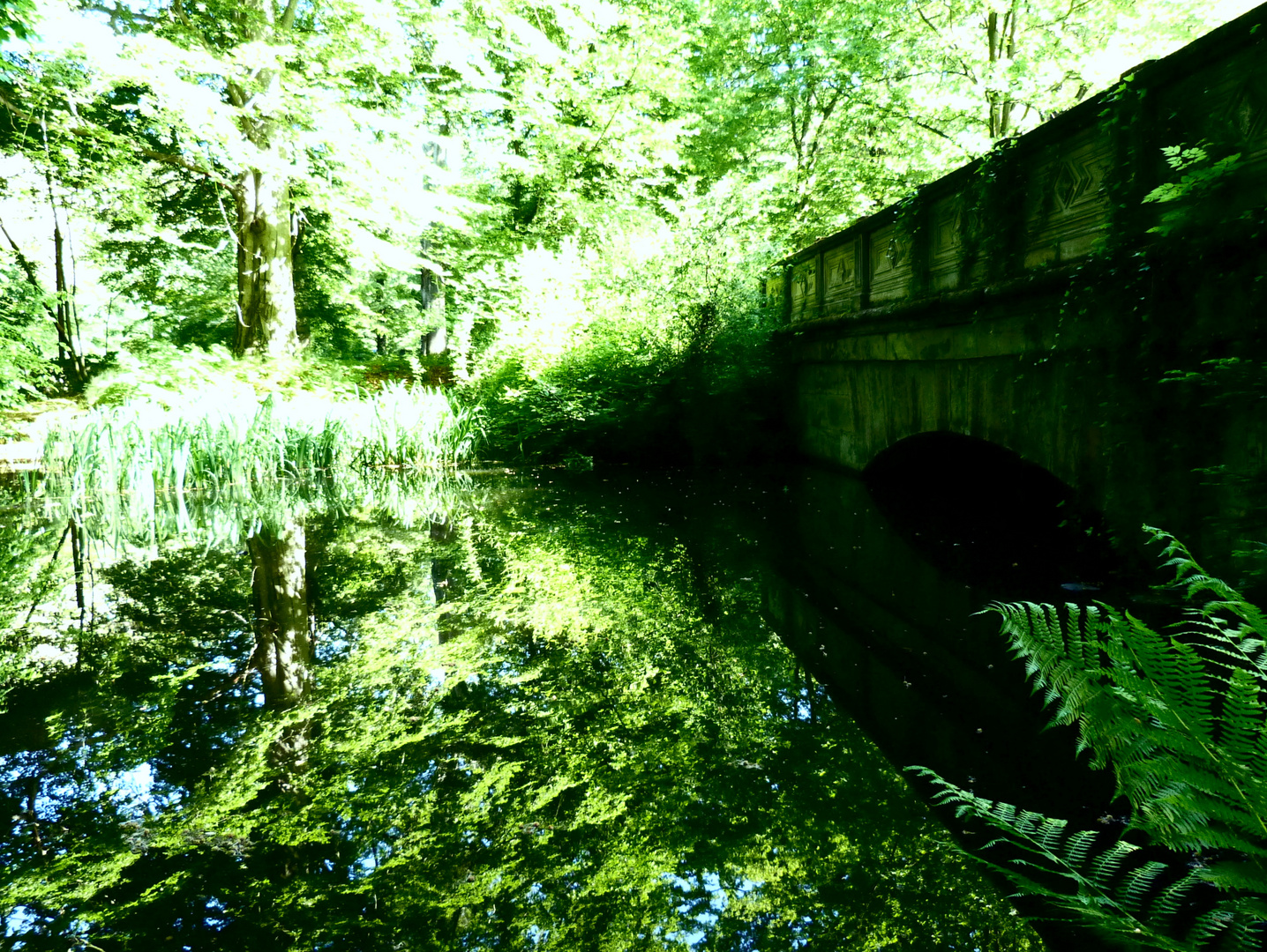 Idylle am Schlossteich