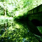 Idylle am Schlossteich