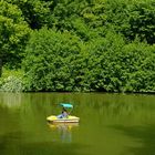 Idylle am Schwanenweiher in Bad Bergzabern