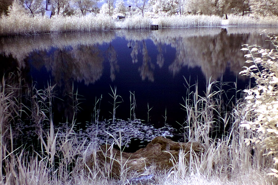 Idylle am See