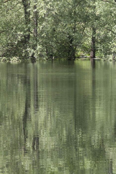 Idylle am See