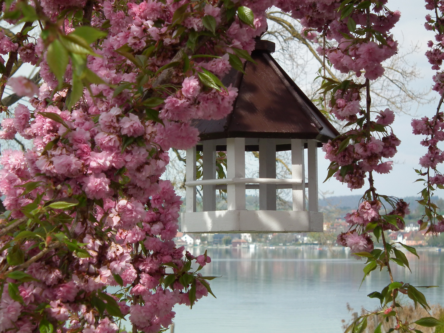 Idylle am See