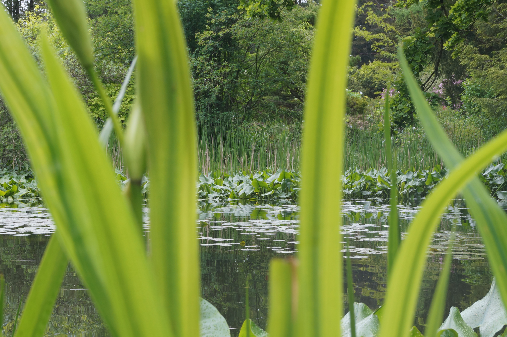 Idylle am See