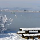 Idylle am See, bei - 18 Grad C